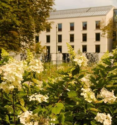 Želdyno projekto nuotrauka