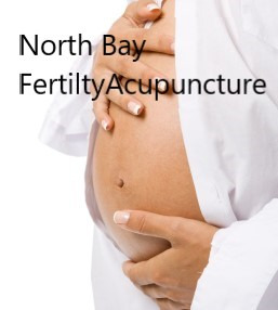 Fertility Acupuncture