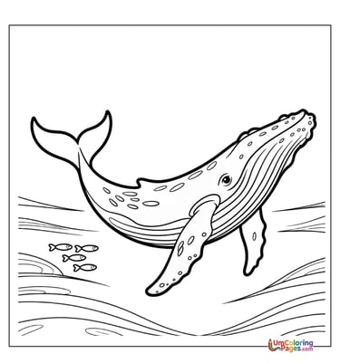 whale coloring page for kids