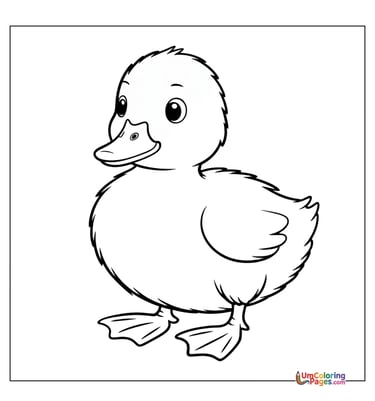 duck coloring page for kids