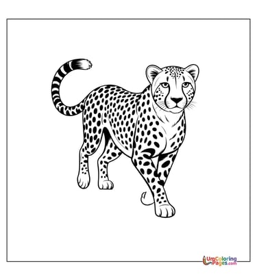 Cheetah coloring page spotted big cat printable for kids