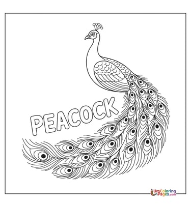 peacock coloring page for kids