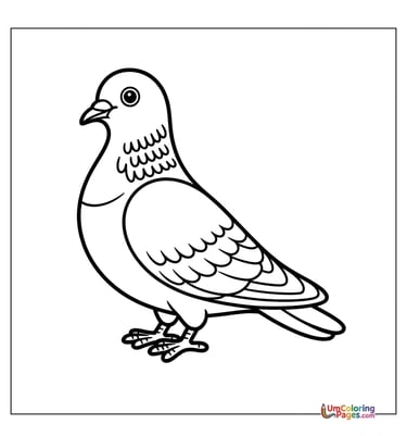 pigeon coloring page for kids