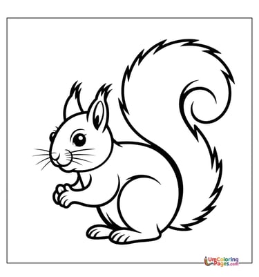 Squirrel coloring page bushy tail animal printable kids