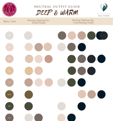 a color scheme of a color scheme of a color scheme of different colors