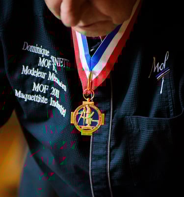 Remise médailles Meilleurs Apprentis de France