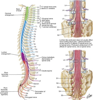 Vetrivel Health center best chiropractic and varamam theraphy 
