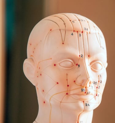 méridiens en reflexologie et point d'acupression