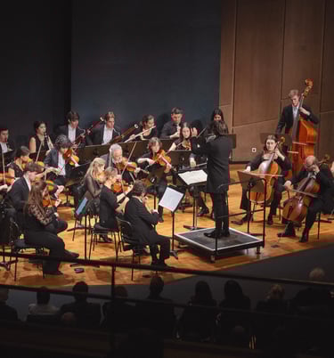 Süddeutsches Sinfonieorchester