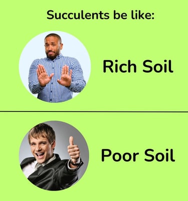 an image that shows that succulents dont like rich soil