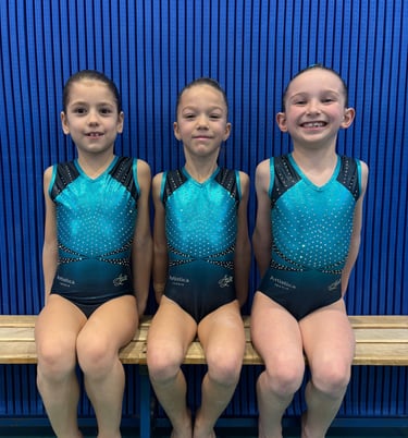 Artistica Jesolo Corso Avanzato