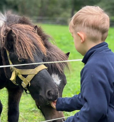 Vaikas maitina ponį Ugdymosi erdvėje ,,Ąžuolynas":