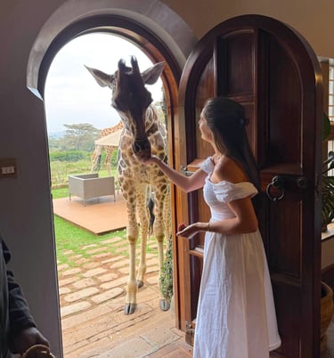 Giraffe Manor Kenya giraffe feeding at door