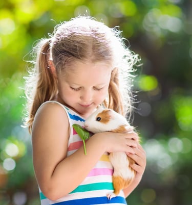A young girl holding her pet guinea pig