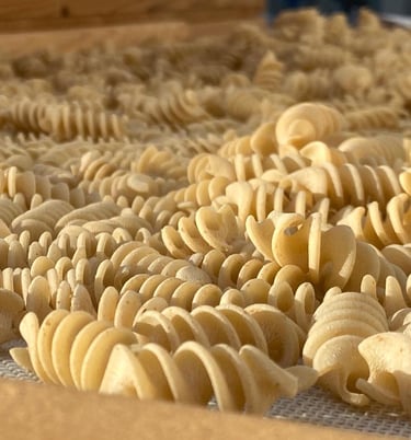 Fresh pasta from Puglia