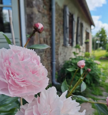 De tuin is elk seizoen anders.