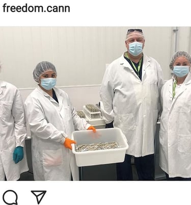 David Johnson and his  cannabis pre-roll team