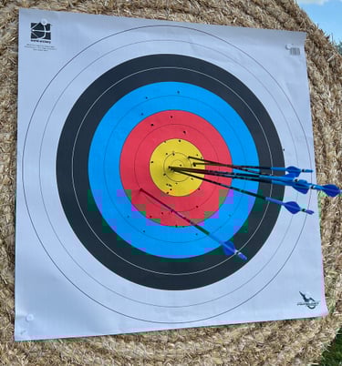 a target with arrows that have been shot into it