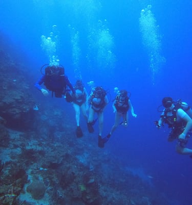Buceo en El Pared en isla Catalina