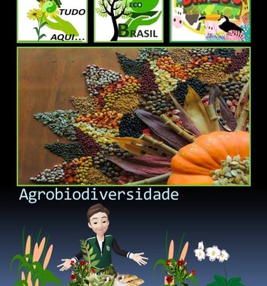 Agrobiodiversidade