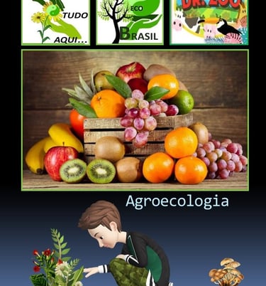 Agroecologia