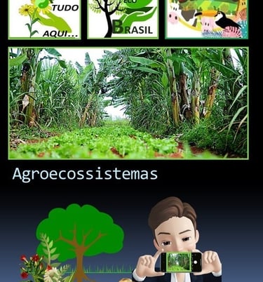 Agroecossistemas