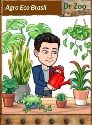 Agro Eco Brasil