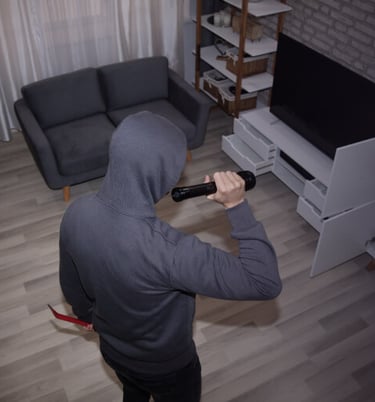 Detector PIRCAM inalámbrico: se encarga de la alarma de intrusión interior y exterior