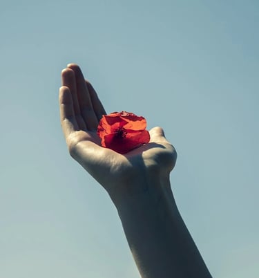 Main tendue avec dans la paume une fleur rouge
