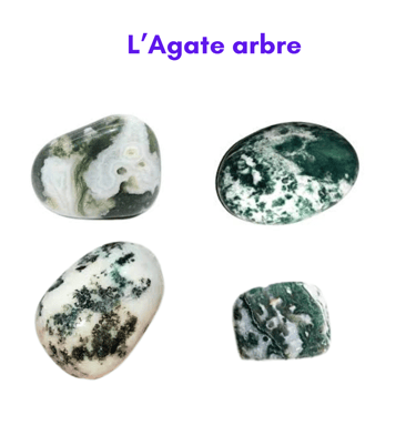 Les pierres naturelles Agate arbre Les Couleurs de Lo