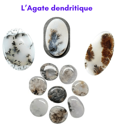 Les pierres naturelles Agate dendritique Les Couleurs de Lo