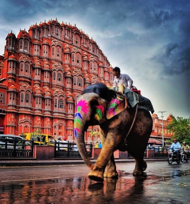 Elephant ride opposite Hawa Mahal Jaipur