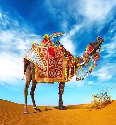 a camell with a decorated camel in the desert