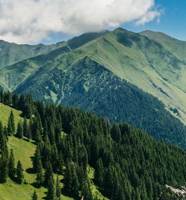a man with a backpack on a mountain