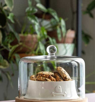 un dôme en verre avec des biscuits dessous 