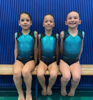 Artistica Jesolo Corso Avanzato