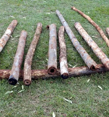 a number of didgeridoo blanks laying on another didgeridoo blank on grass.