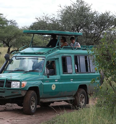 A green safari vehicle with people on it's roof top