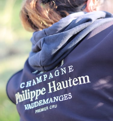 Vendanges - Champagne Philippe Hautem à Vaudemanges