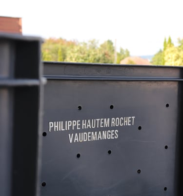 Caisse de Vendanges - Champagne Philippe Hautem à Vaudemanges