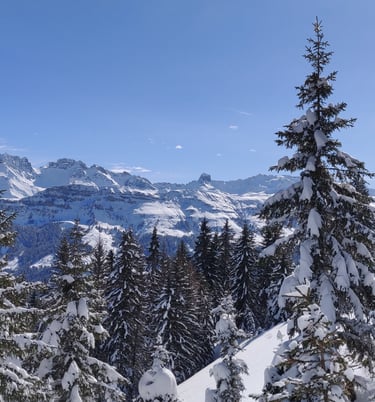 Emplacement idéal, été hiver