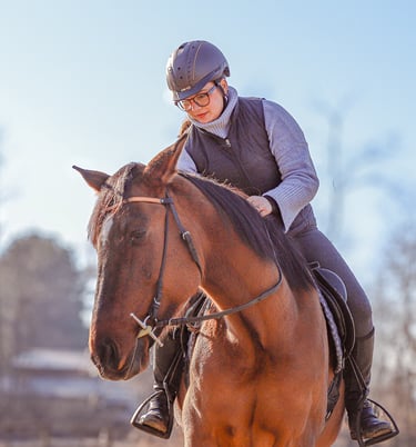 cavalli fotografia Varese