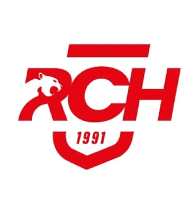 Reims Champagne Handball Nationale Féminine