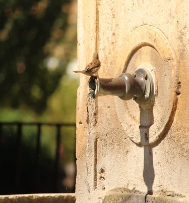 Fuente de La Glorieta en Alcocer
