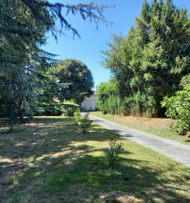 France-South-West-Gironde-Pompignac-Property for sale-garden4