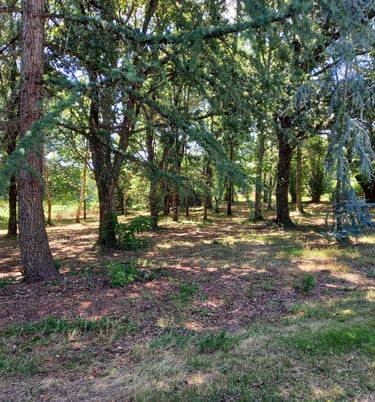 France-South-West-Gironde-Pompignac-Property for sale-garden7