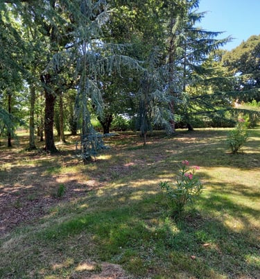 France-South-West-Gironde-Pompignac-Property for sale-garden8