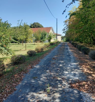 France-South-West-Gironde-Pompignac-Property for sale-garden5