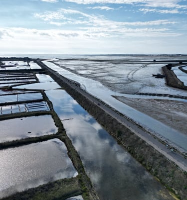 Marais salants (Noirmoutier)