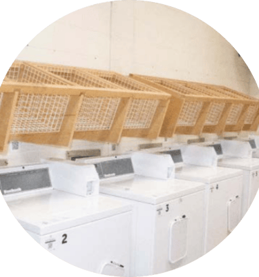 Lovett's Laundry Room